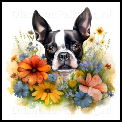 Diamond Painting Boston Terrier met bloemen