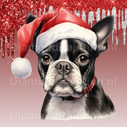 Diamond Painting Boston Terrier mit Weihnachtsmütze