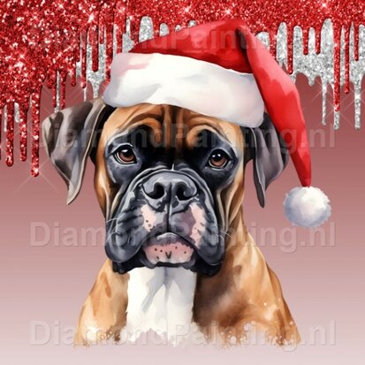 Diamond Painting Boxer mit Weihnachtsmütze