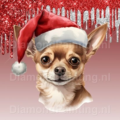 Diamond Painting Chihuahua met Kerstmuts 01