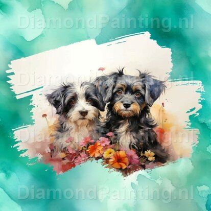 Diamond Painting Aquarell Hund - Havaneser 04