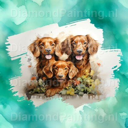 Diamond Painting Aquarell Hund - Irischer Setter 01