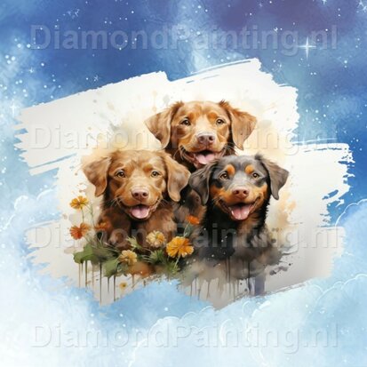 Diamond Painting Aquarell Hund - Chesapeake Bay Retriever 01