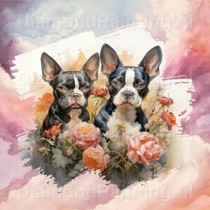 Diamond Painting Aquarel Hond - Boston Terrier 01
