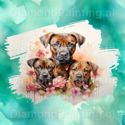 Diamond Painting Watercolor Dog - Boxer 03