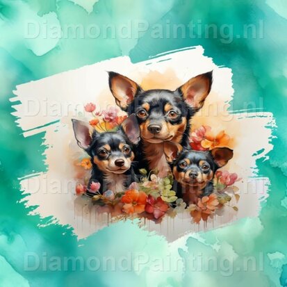 Diamond Painting Aquarel Hond - Chihuahua 02